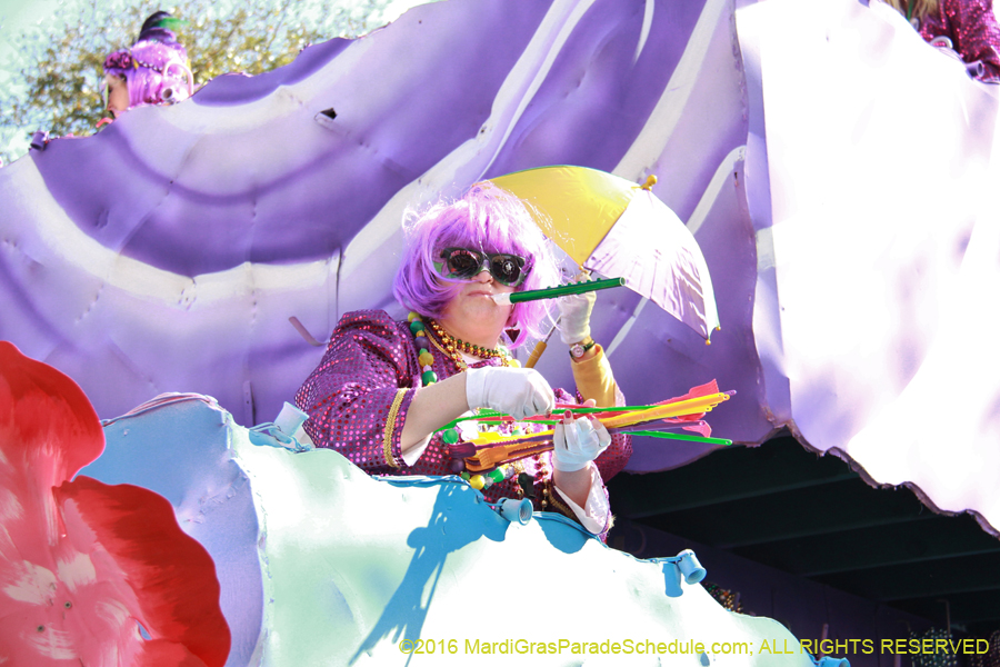 2016-le-Krewe-of-Iris-009685