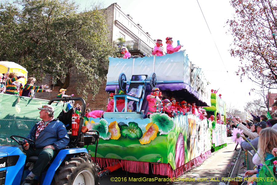 2016-le-Krewe-of-Iris-009695