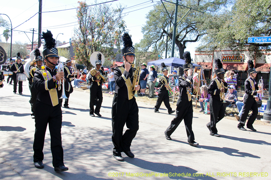 Krewe-of-Iris-2017-08089