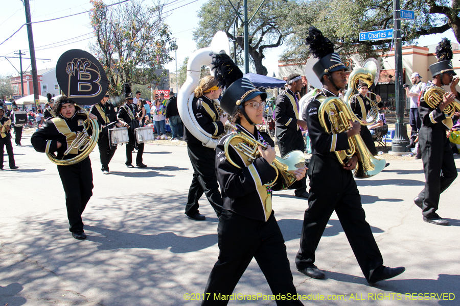 Krewe-of-Iris-2017-08090