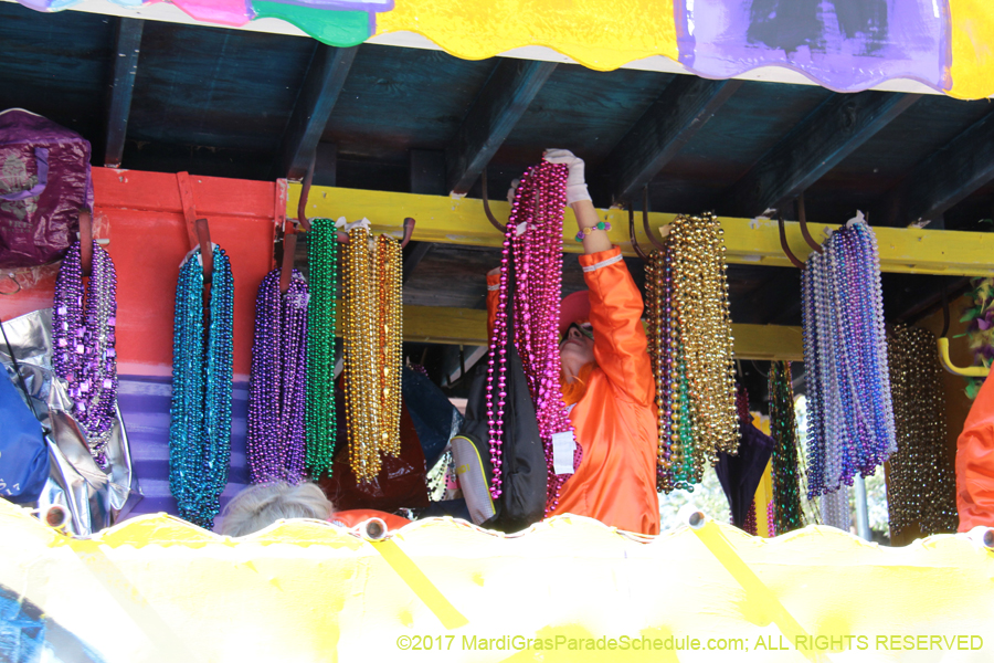 Krewe-of-Iris-2017-08123