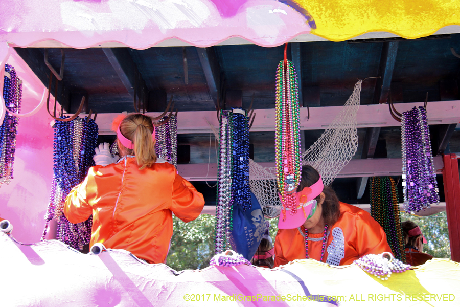 Krewe-of-Iris-2017-08125