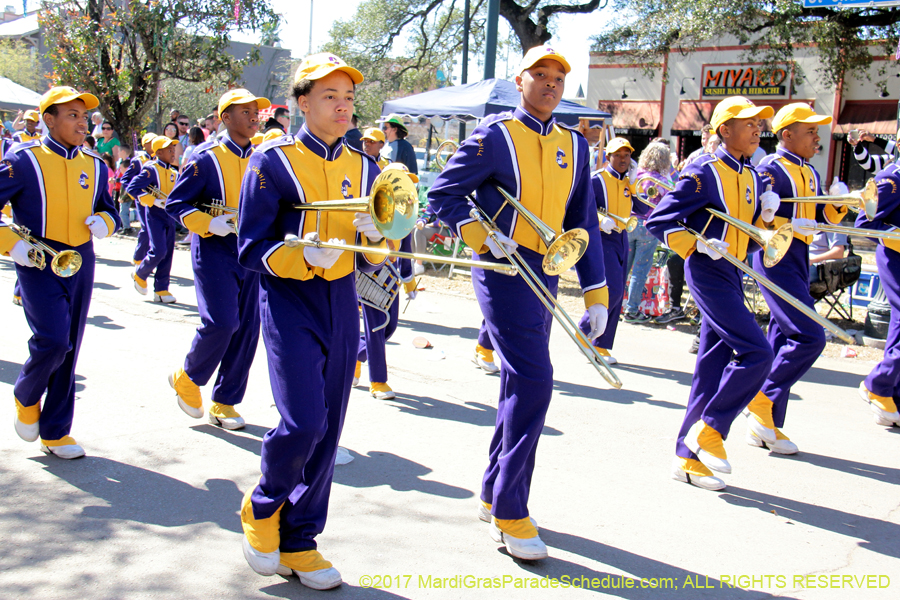 Krewe-of-Iris-2017-08133