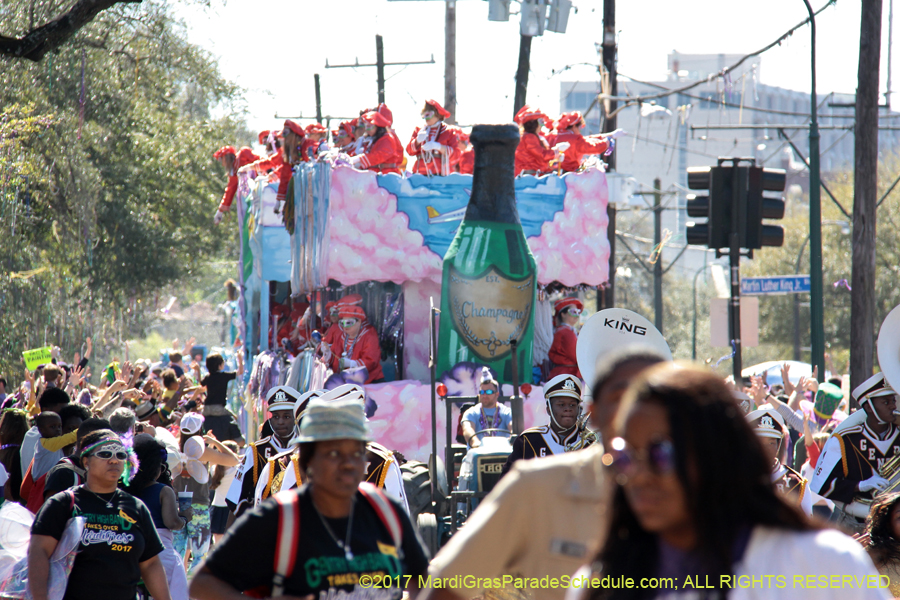 Krewe-of-Iris-2017-08149