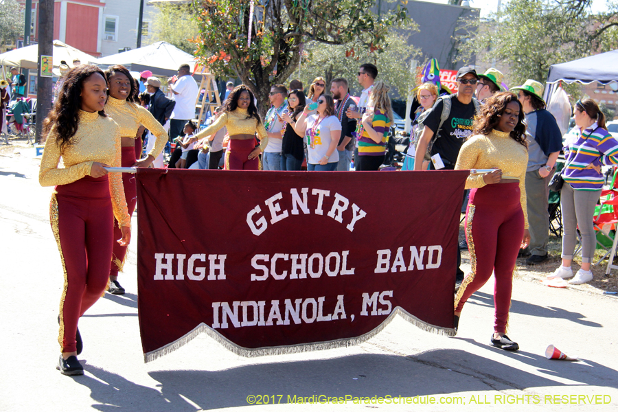 Krewe-of-Iris-2017-08153