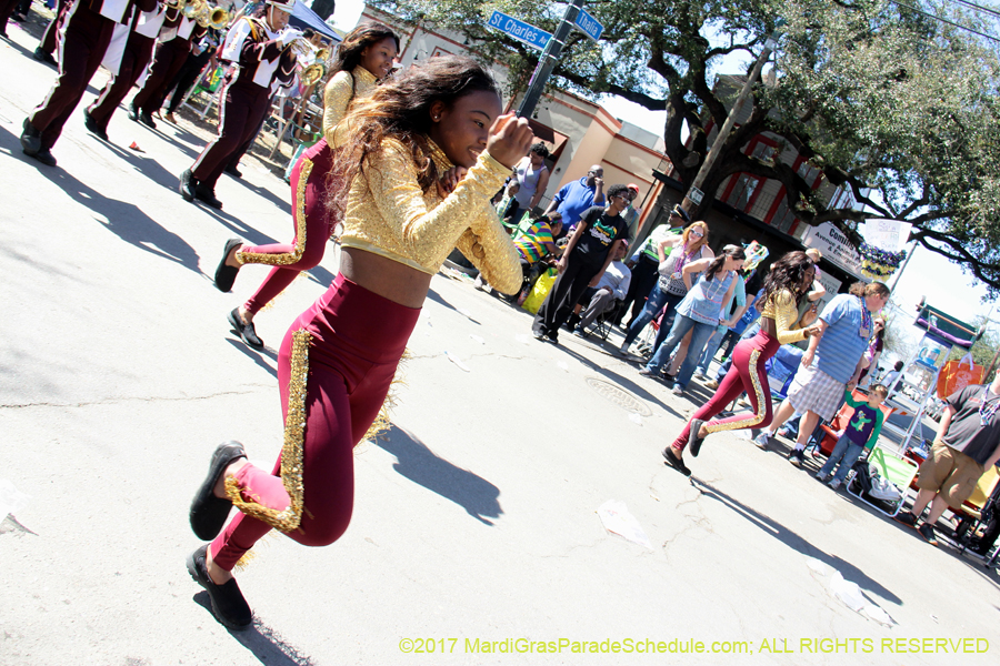 Krewe-of-Iris-2017-08154