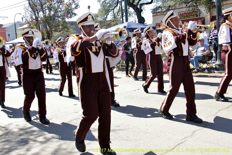 Krewe-of-Iris-2017-08155