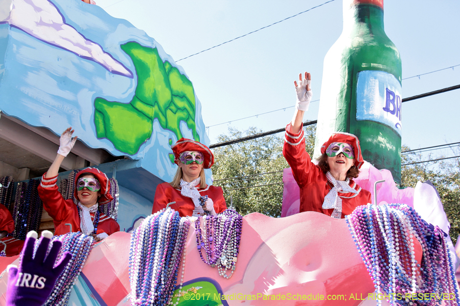 Krewe-of-Iris-2017-08164