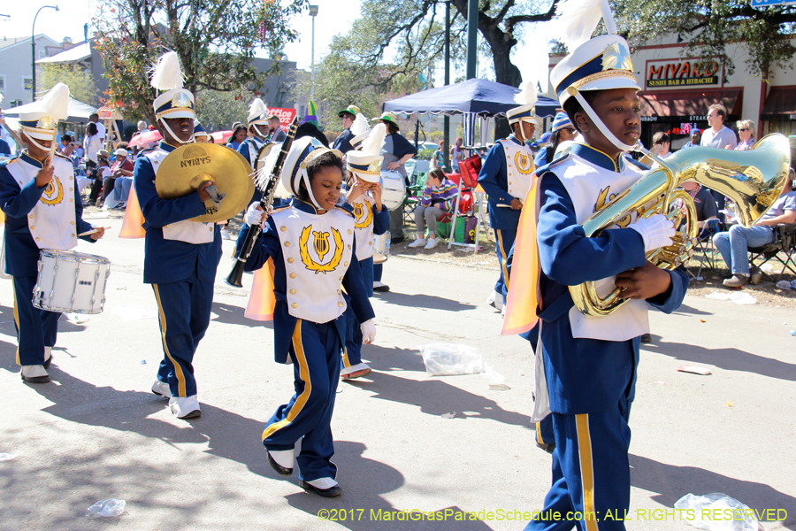 Krewe-of-Iris-2017-08198