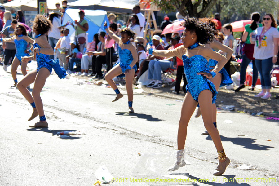 Krewe-of-Iris-2017-08199