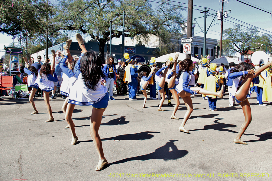 Krewe-of-Iris-2017-08220