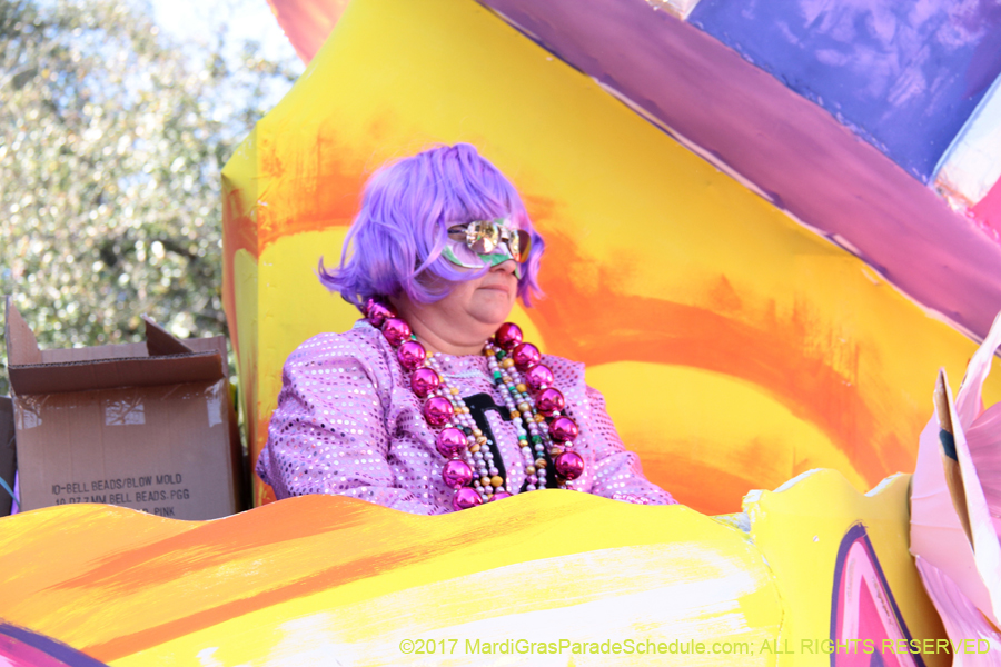 Krewe-of-Iris-2017-08225