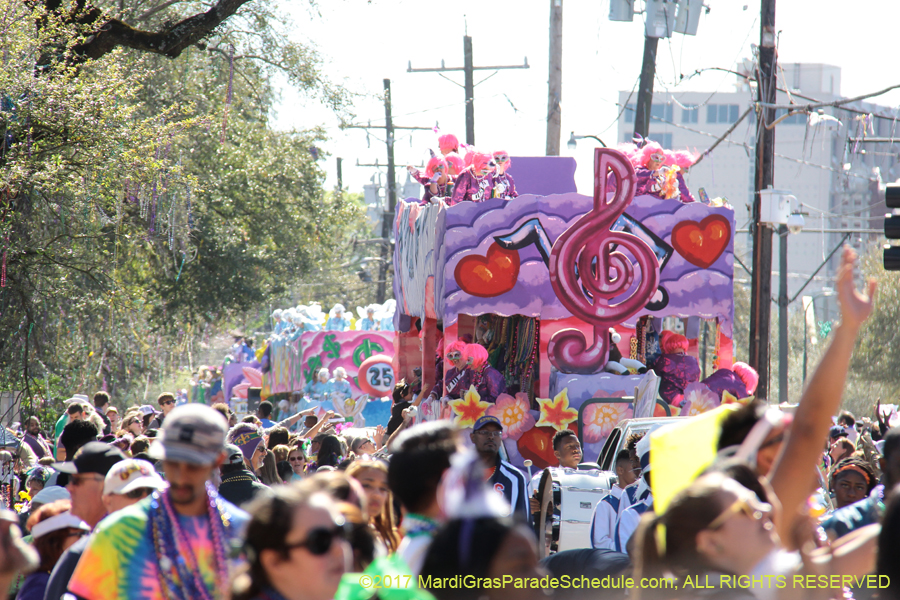 Krewe-of-Iris-2017-08229