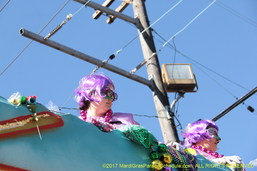 Krewe-of-Iris-2017-08235