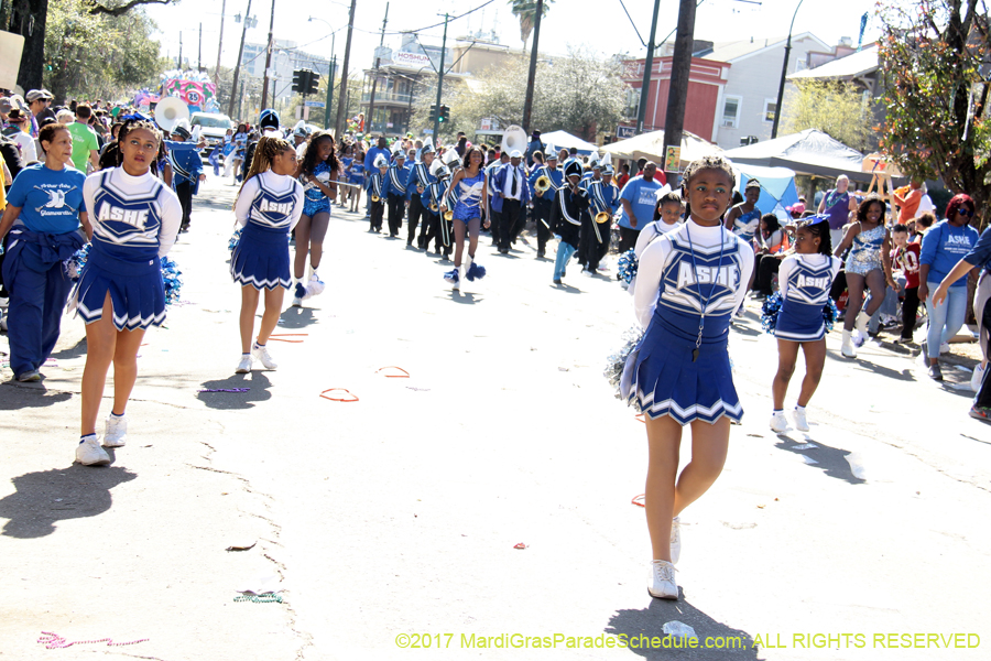 Krewe-of-Iris-2017-08247