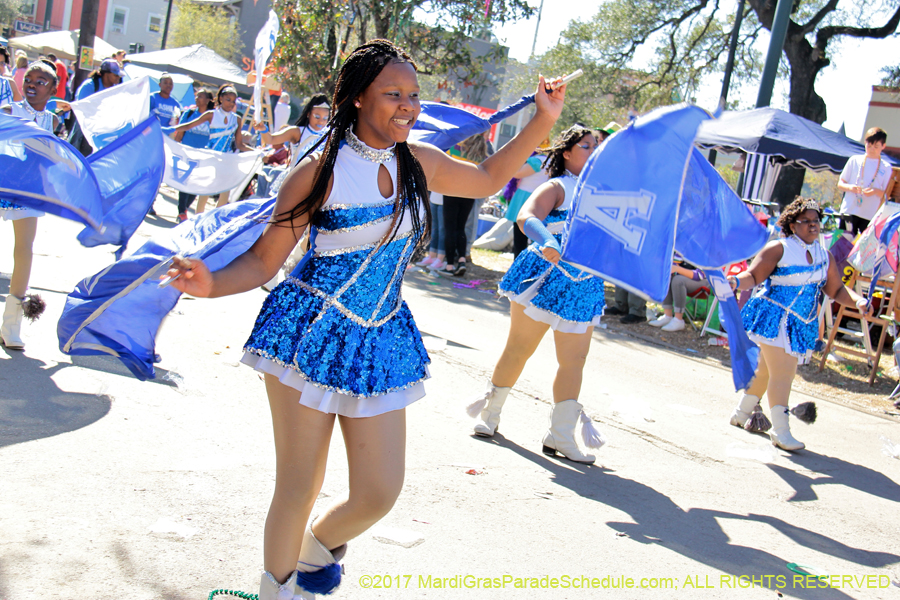 Krewe-of-Iris-2017-08251