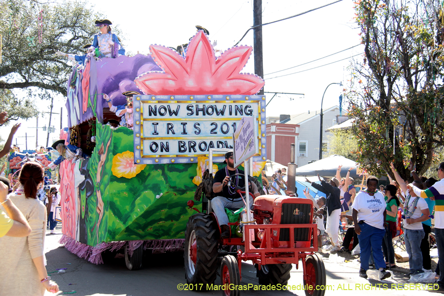 Krewe-of-Iris-2017-08268