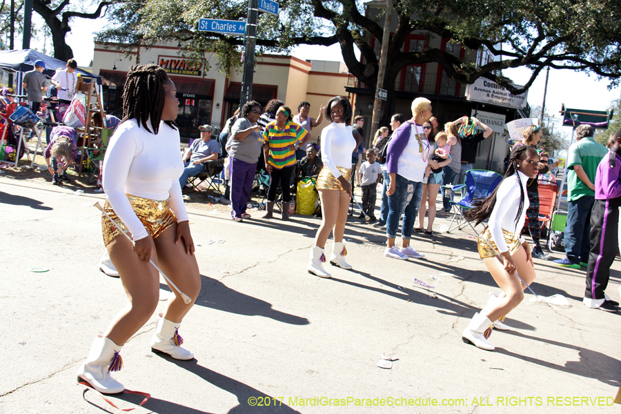 Krewe-of-Iris-2017-08320