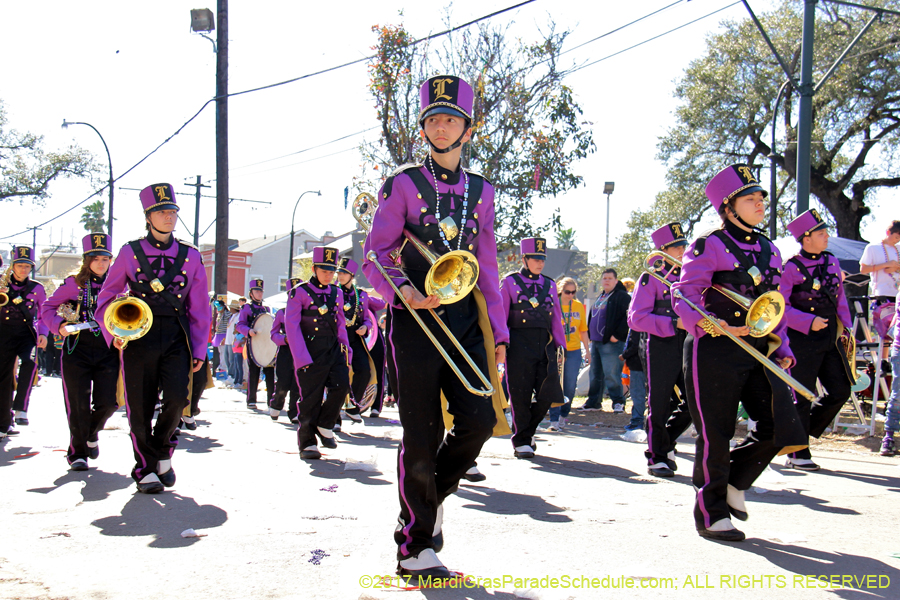 Krewe-of-Iris-2017-08321