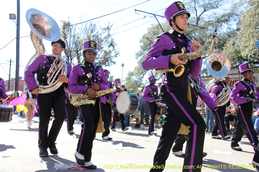 Krewe-of-Iris-2017-08322