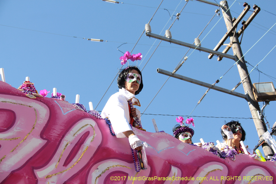 Krewe-of-Iris-2017-08329