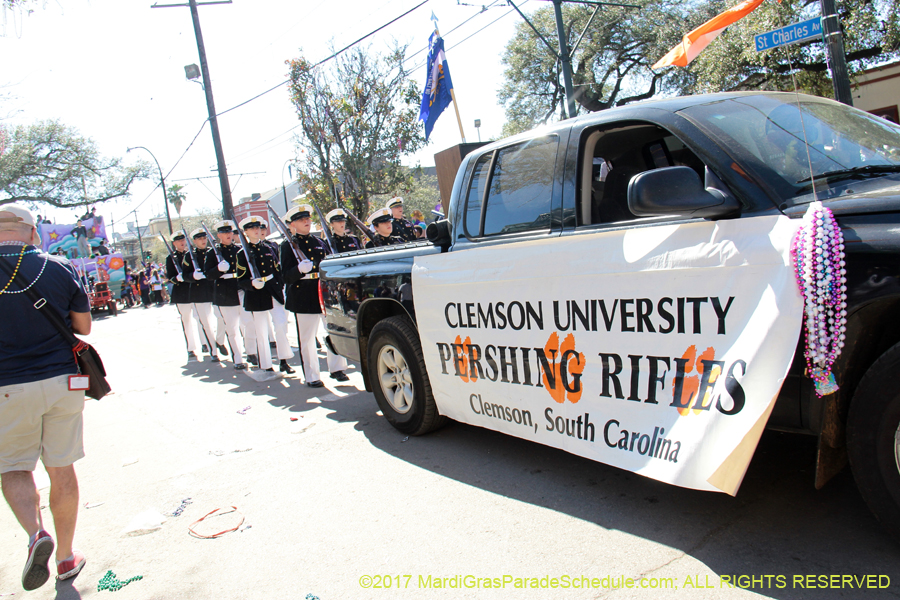 Krewe-of-Iris-2017-08336