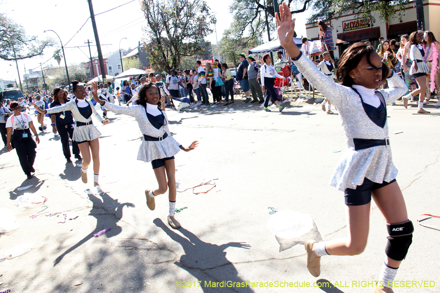 Krewe-of-Iris-2017-08349