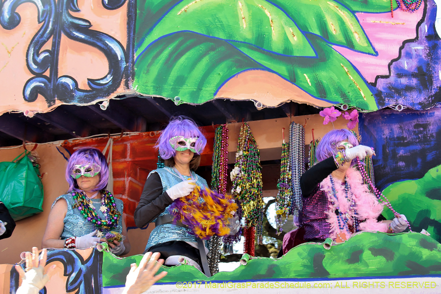 Krewe-of-Iris-2017-08355