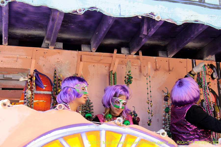 Krewe-of-Iris-2017-08362