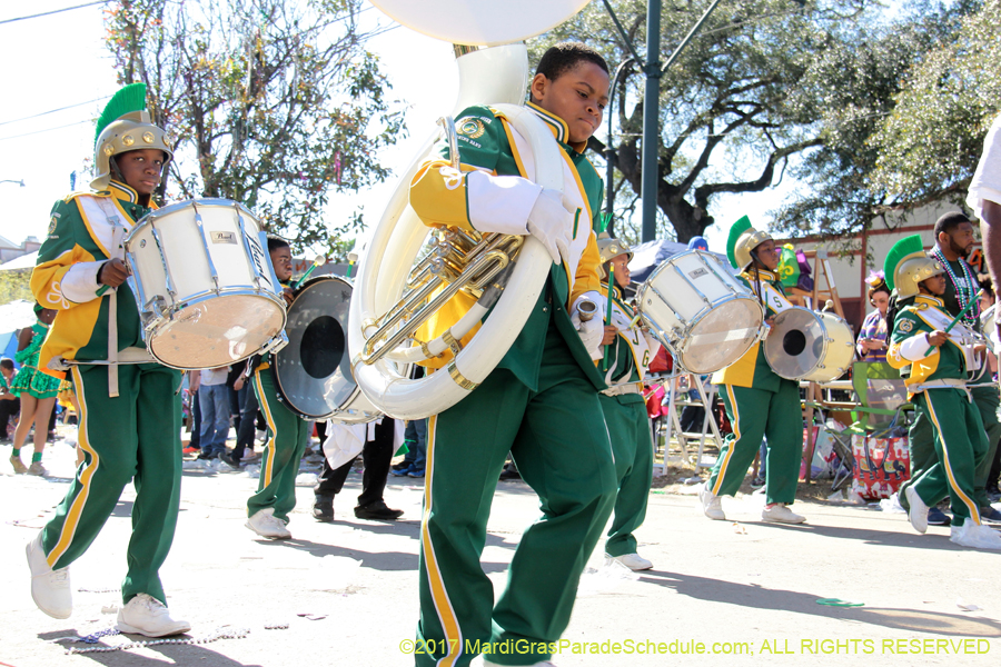 Krewe-of-Iris-2017-08367