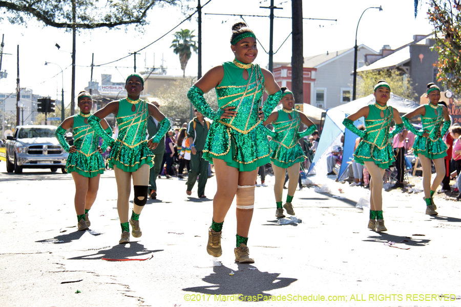 Krewe-of-Iris-2017-08368