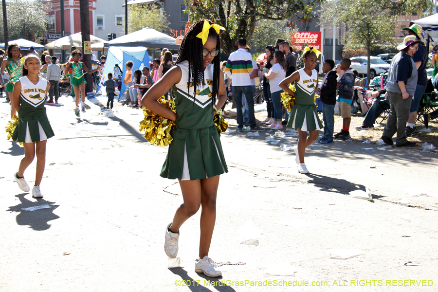 Krewe-of-Iris-2017-08370