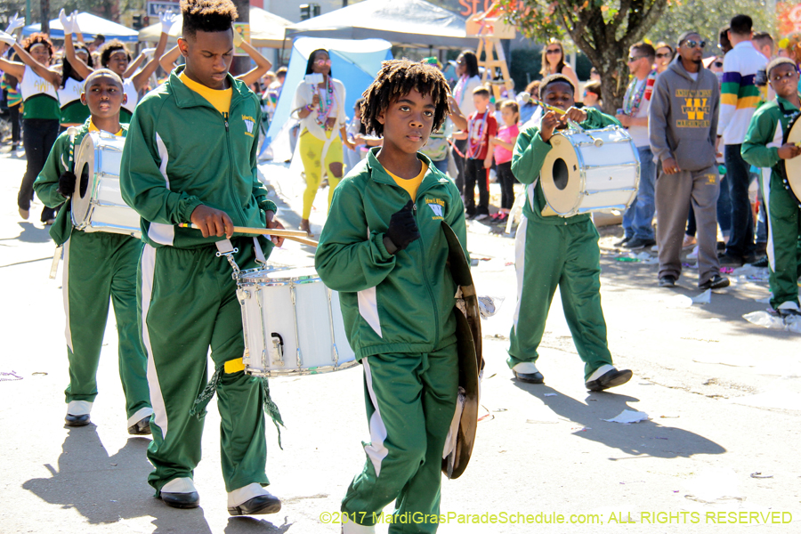 Krewe-of-Iris-2017-08374