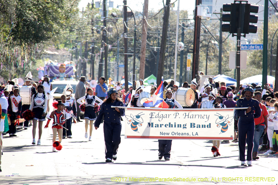 Krewe-of-Iris-2017-08377