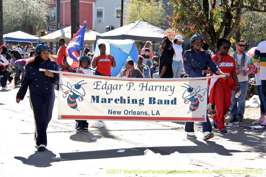 Krewe-of-Iris-2017-08378