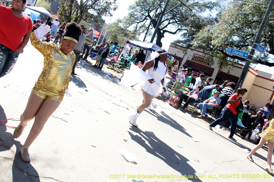 Krewe-of-Iris-2017-08380