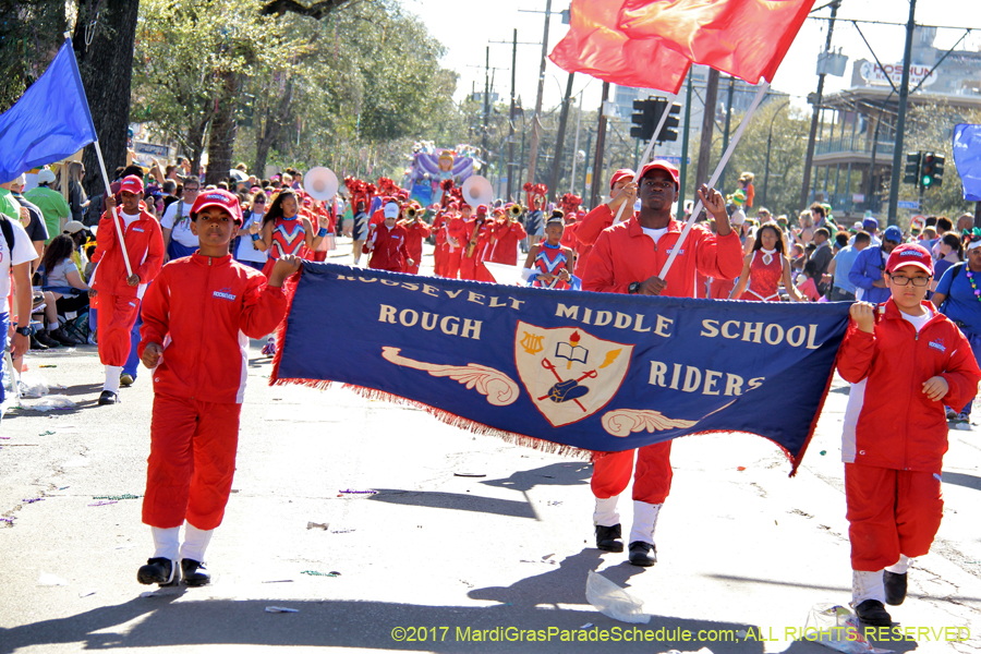 Krewe-of-Iris-2017-08381