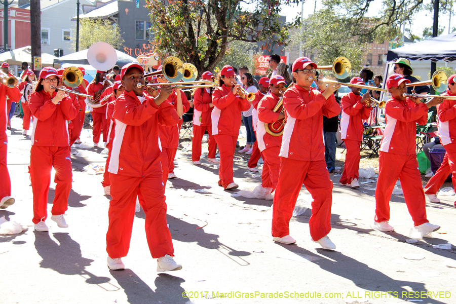 Krewe-of-Iris-2017-08382