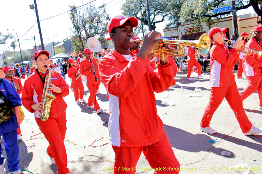 Krewe-of-Iris-2017-08383