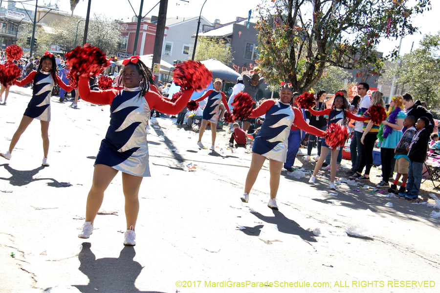 Krewe-of-Iris-2017-08385