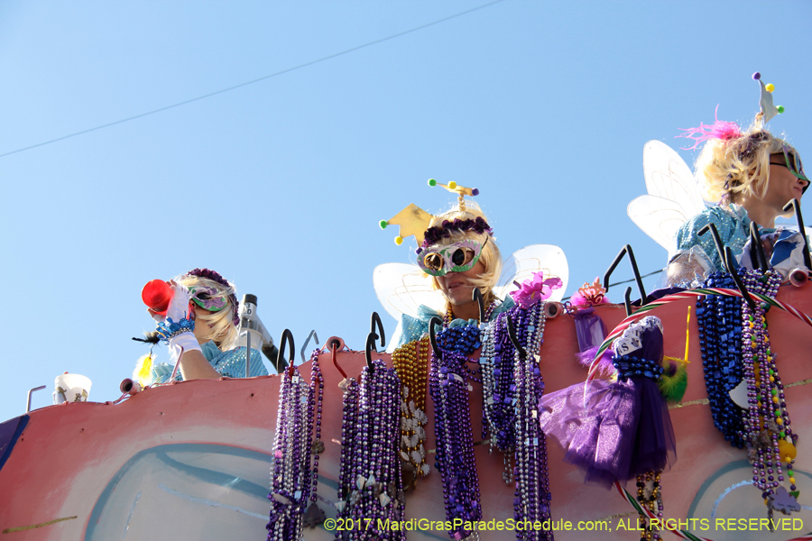 Krewe-of-Iris-2017-08392