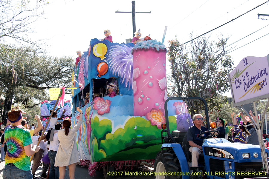 Krewe-of-Iris-2017-08399