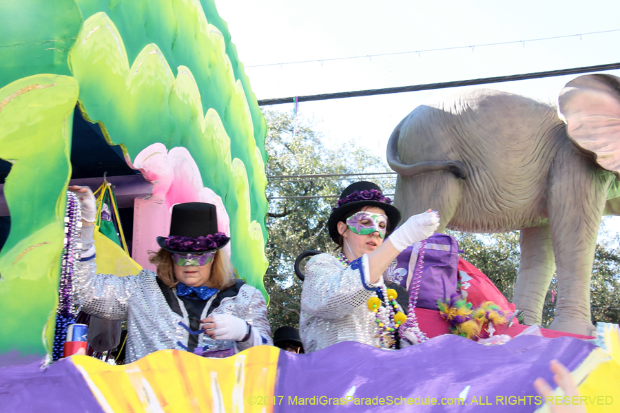 Krewe-of-Iris-2017-08423