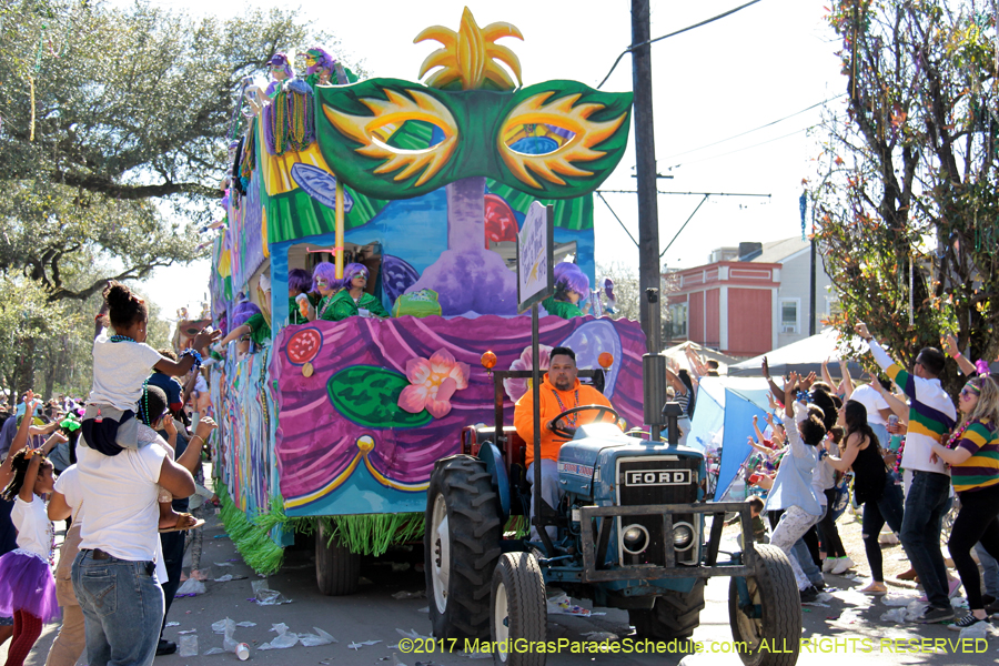 Krewe-of-Iris-2017-08426