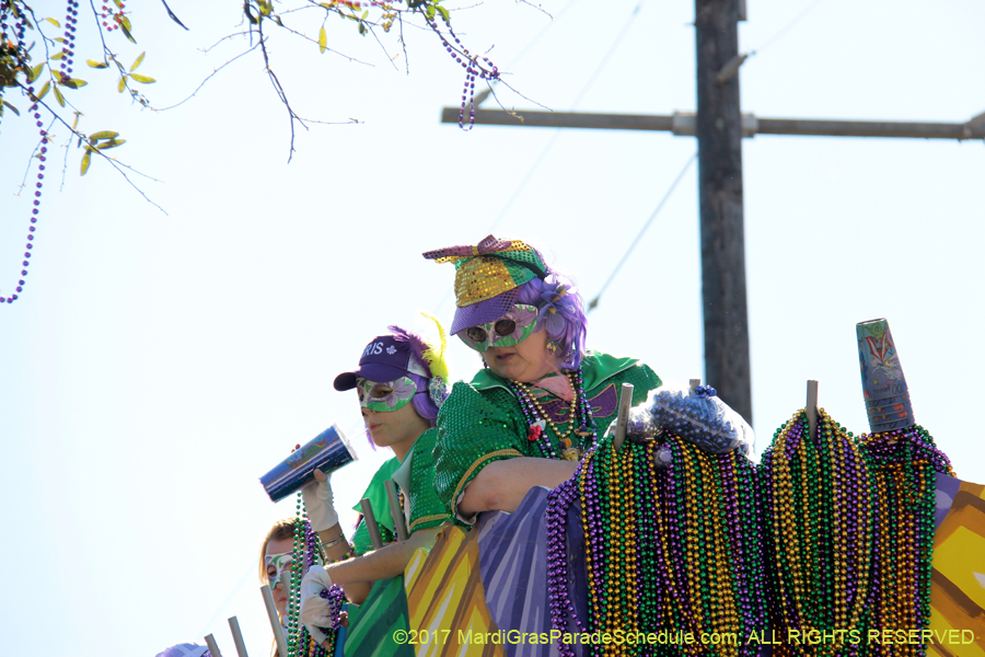 Krewe-of-Iris-2017-08427