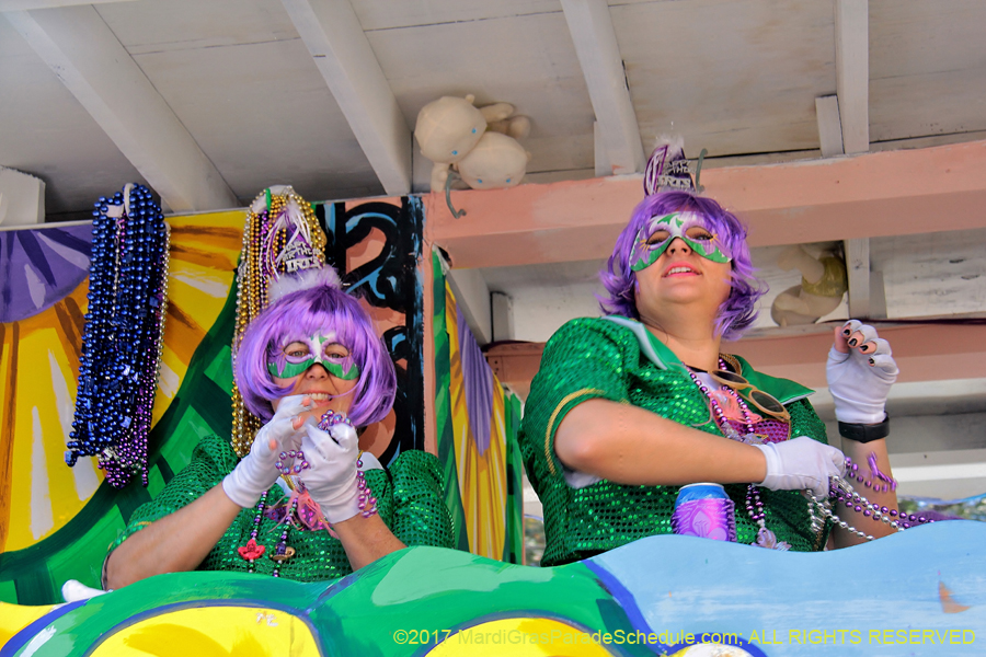 Krewe-of-Iris-2017-08431