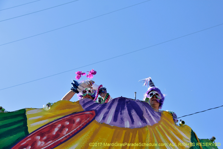 Krewe-of-Iris-2017-08435