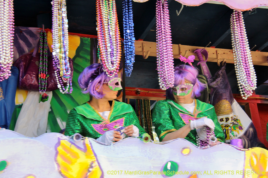 Krewe-of-Iris-2017-08438