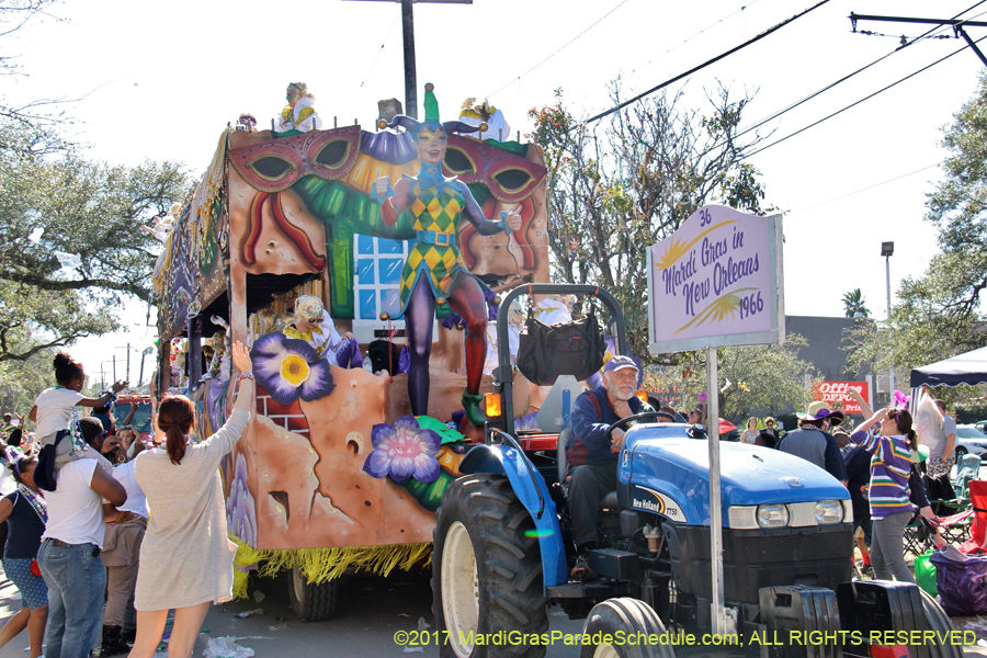 Krewe-of-Iris-2017-08439