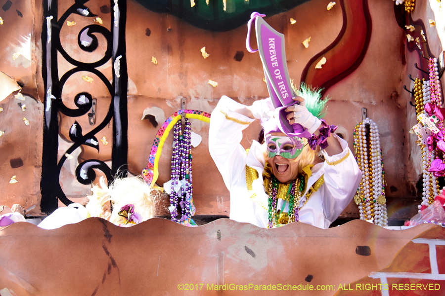 Krewe-of-Iris-2017-08445